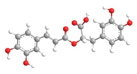 Rosmarinic Acid - American Chemical Society