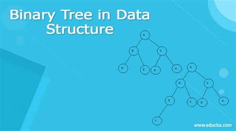 Binary Tree in Data Structure - Definition, Illustration, How to Explain