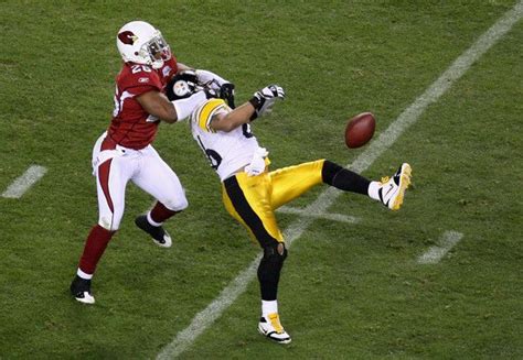 Pittsburgh Steelers win Super Bowl XLIII (20 photos) - Izismile.com