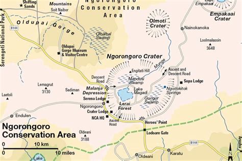 Exploring the Ngorongoro Crater, Tanzania | Insight Guides Blog