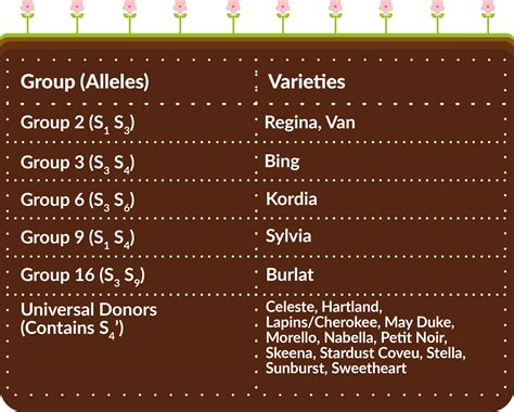 Cherry Fruit Trees Pollination & Varieties Guide - the Primrose blog