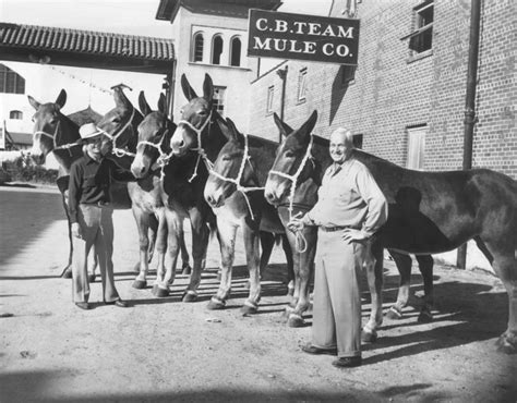 Our Story - Fort Worth Stockyards