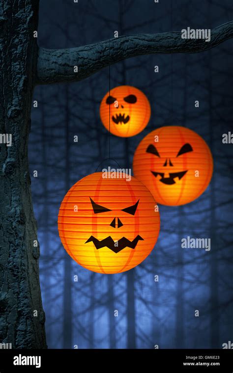 Halloween paper lanterns hanging on a branch in a spooky and foggy forest at night Stock Photo ...