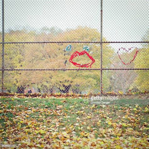 219 Chain Link Fence Art Stock Photos, High-Res Pictures, and Images - Getty Images