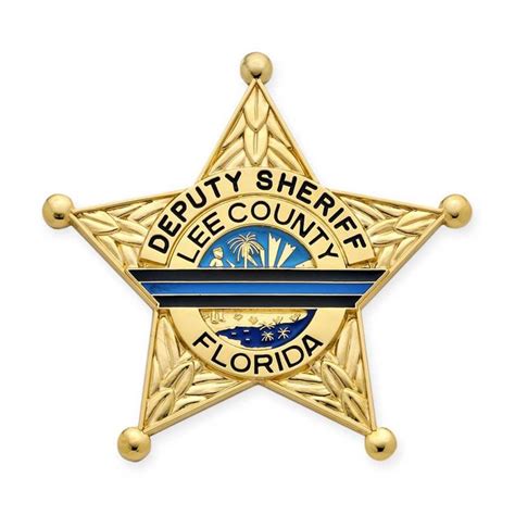 Lee County Sheriff Badge | Custom badges, Badge, Sheriff badge