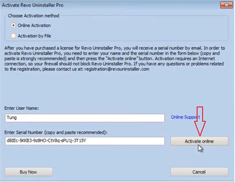 Revo uninstaller pro free license key - perlevel