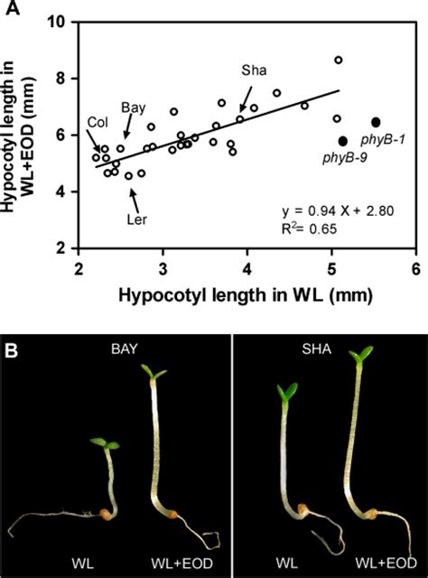 fig1:Genetic mapping of natural variation in a shade avoidance response ...