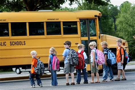 Los beneficios del transporte escolar | STG Bus - Granada