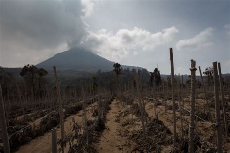 Thousands evacuated as large volcano in North Sumatra shows signs of ...