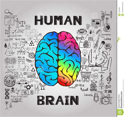 conceptual art of the brain | Cerebro humano, Imagenes de psicologia, Temas de psicologia