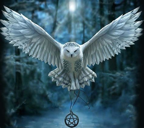 Harry Potter Owl, harry potter hedwig HD wallpaper | Pxfuel