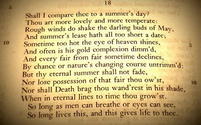 THE SONNET ~ Living in the air