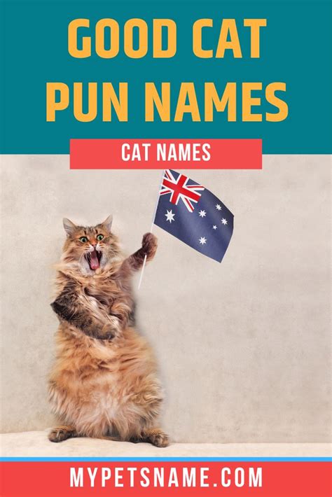 Good Cat Pun Names | Cat puns, Cat pun names, Pun names