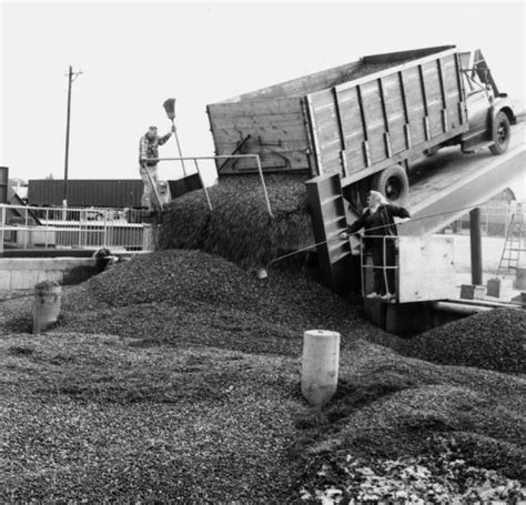 Unloading Cranberries | Photograph | Wisconsin Historical Society