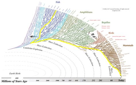 Evogeneao: The Tree of Life