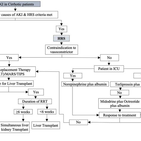 Algorithm for diagnosis and treatment of Hepatorenal syndrome | Download Scientific Diagram