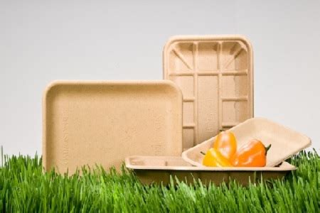 Biodegradable Packaging Shows A Strong Position Through 2019