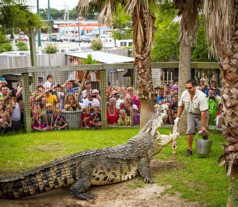 Pin on 6 Best Parks & Trails In Myrtle Beach For A Nature Lover’s Bucket List