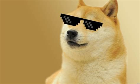 Doge Meme Wallpapers - Top Free Doge Meme Backgrounds - WallpaperAccess