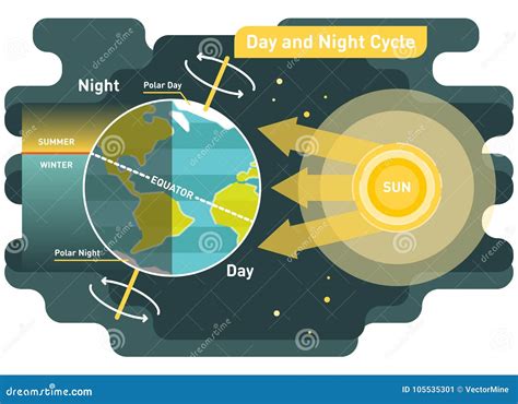 24 Hours Day and Night Cycle Vector Diagram Stock Vector - Illustration of summer, life: 105535301