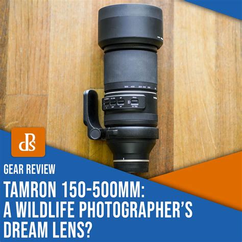 Tamron 150-500mm f/5-6.7 Review: A Wildlife Photographer's Dream Lens?