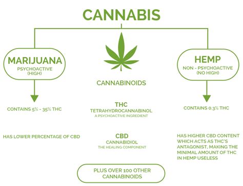 HEMP vs CBD vs THC - Cannabis Care Clinic