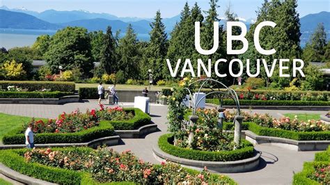 🇨🇦[4K] Beautiful Summer UBC (University of British Columbia) VANCOUVER CAMPUS - YouTube