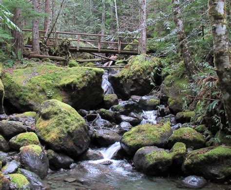 Big Creek Cascades — Waterfall Trail