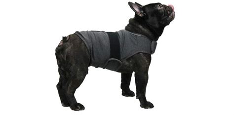 7 Best Dog Anxiety Vests To Keep Your Dog Calm