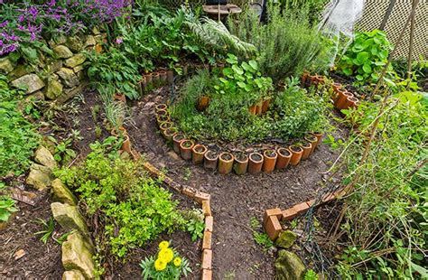 How to start a permaculture garden | Permaculture gardening, Permaculture, Backyard vegetable ...