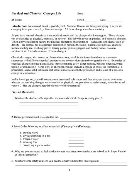 Physical and Chemical Changes Lab