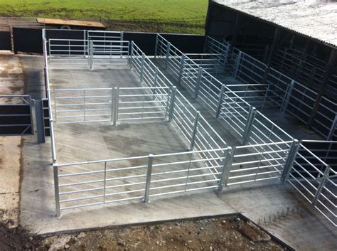 Outdoor Cattle Handling Pens and Race | The Farming Forum