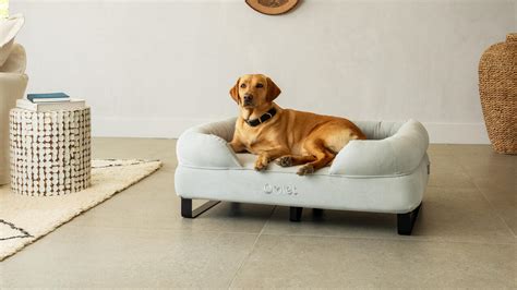 Memory Foam Bolster Dog Beds | Omlet