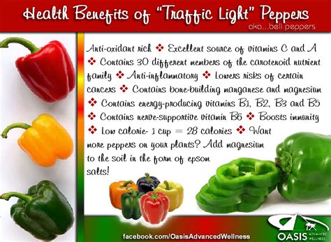 Health Benefits of Bell Peppers | Caring for the Body | Pinterest