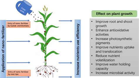 2 Schematic representation of nano-fertilizer application for nutrients ...