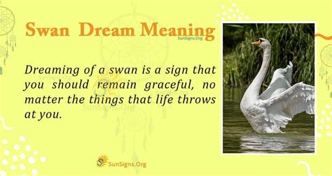 Seeing A Swan In Your Dream - Meaning, Interpretation and Symbolism ...