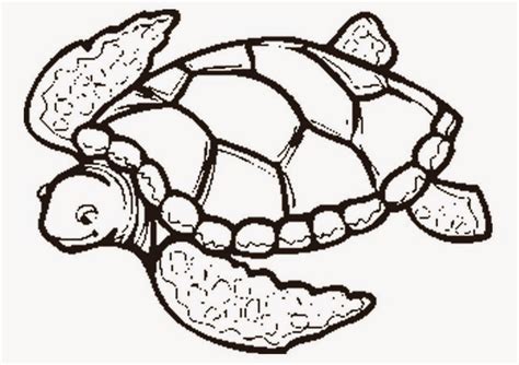 Coloring Pages: Turtles Free Printable Coloring Pages