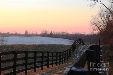 Horse Farm Sunset Photograph by Gina Collins