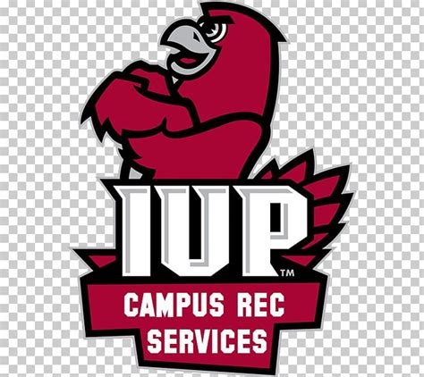 Indiana University Of Pennsylvania IUP Crimson Hawks Football IUP Crimson Hawks Men's Basketball ...