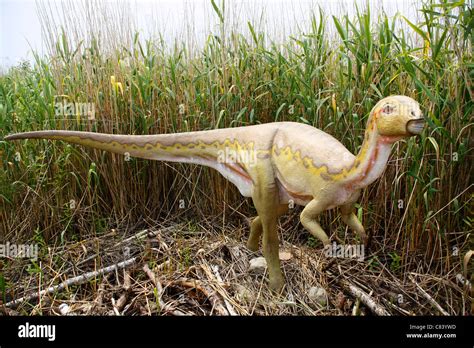 Dryosaurus in Leba Park (dinosaur theme park), Poland Stock Photo - Alamy