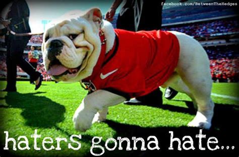 25+ Funny Ga Bulldog Pictures Image - Bleumoonproductions