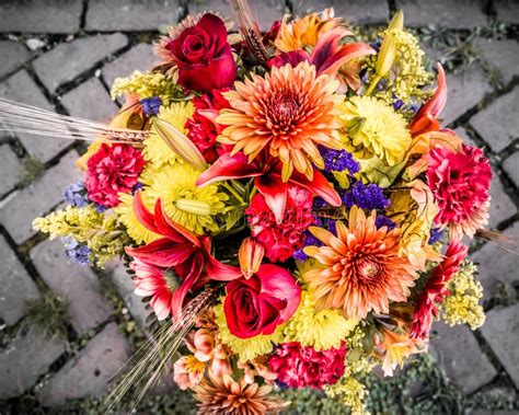 Autumn Bouquet stock image. Image of petals, brick, fall - 60074519