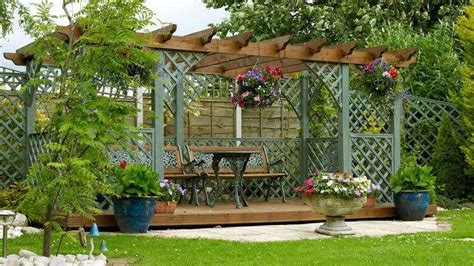 Plante grimpante ombre pour pergola de jardin