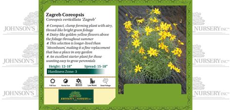 Zagreb Coreopsis | Johnson's Nursery | KB