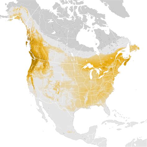 Golden-crowned Kinglet - Abundance map: Post-breeding migration - eBird Status and Trends