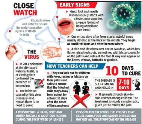 Hand Foot And Mouth Disease Flyer