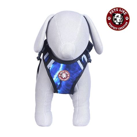 Dog Double Padded Harness at Rs 1600/piece | Dog Harness in Bengaluru ...