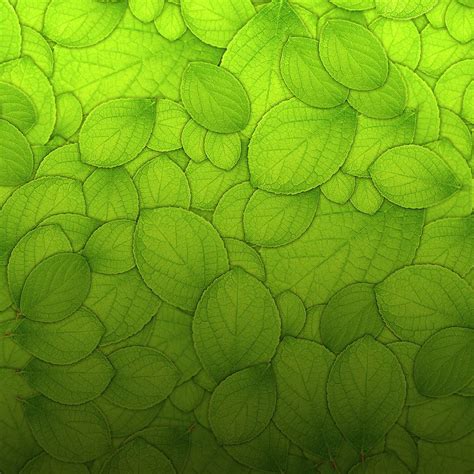 Green Leaf Pattern Wallpaper » Arthatravel.com