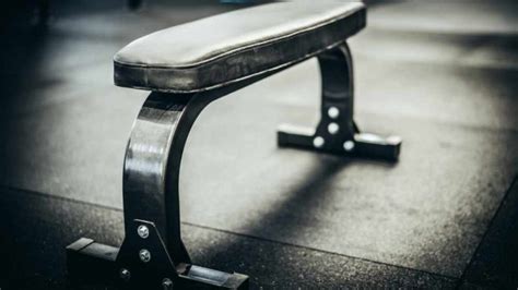 5 Rogue Weight Benches for Every Kind of Lifter