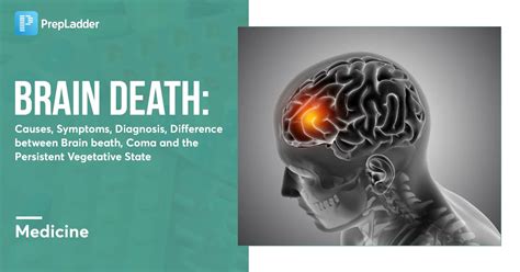 Brain Death: Coma and the Persistent Vegetative State